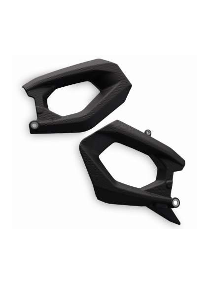 Protector de basculante de fibra de carbono