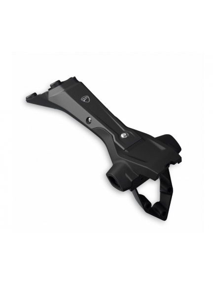 Portamatrículas de carbono