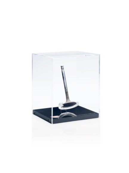 Válvula de escape 1199 F18